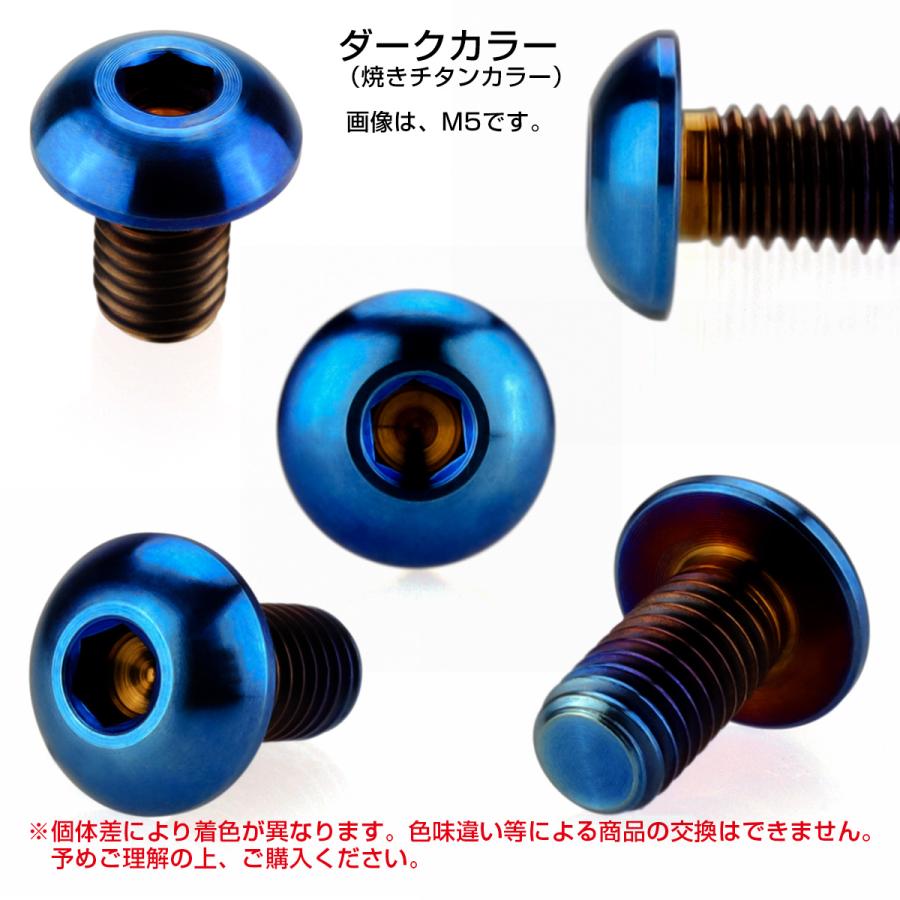 チタンボルト M5×10mm P0.8 ボタンボルト 六角穴 焼きチタンカラー ダークカラー JA588 | ブランド登録なし | 02