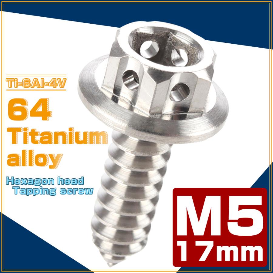 タッピングネジ M5×17mm チタン 六角ヘッド フランジ付 ビス シルバー