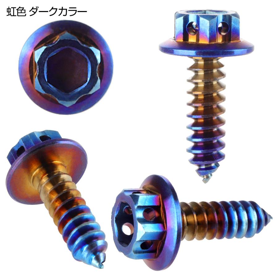 タッピングネジ M5×17mm チタン 六角ヘッド フランジ付 ビス 焼き