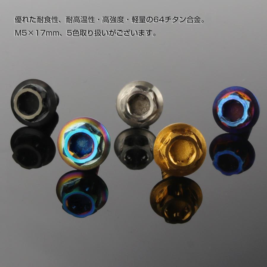 タッピングネジ M5×17mm チタン 六角ヘッド フランジ付 ビス 焼き
