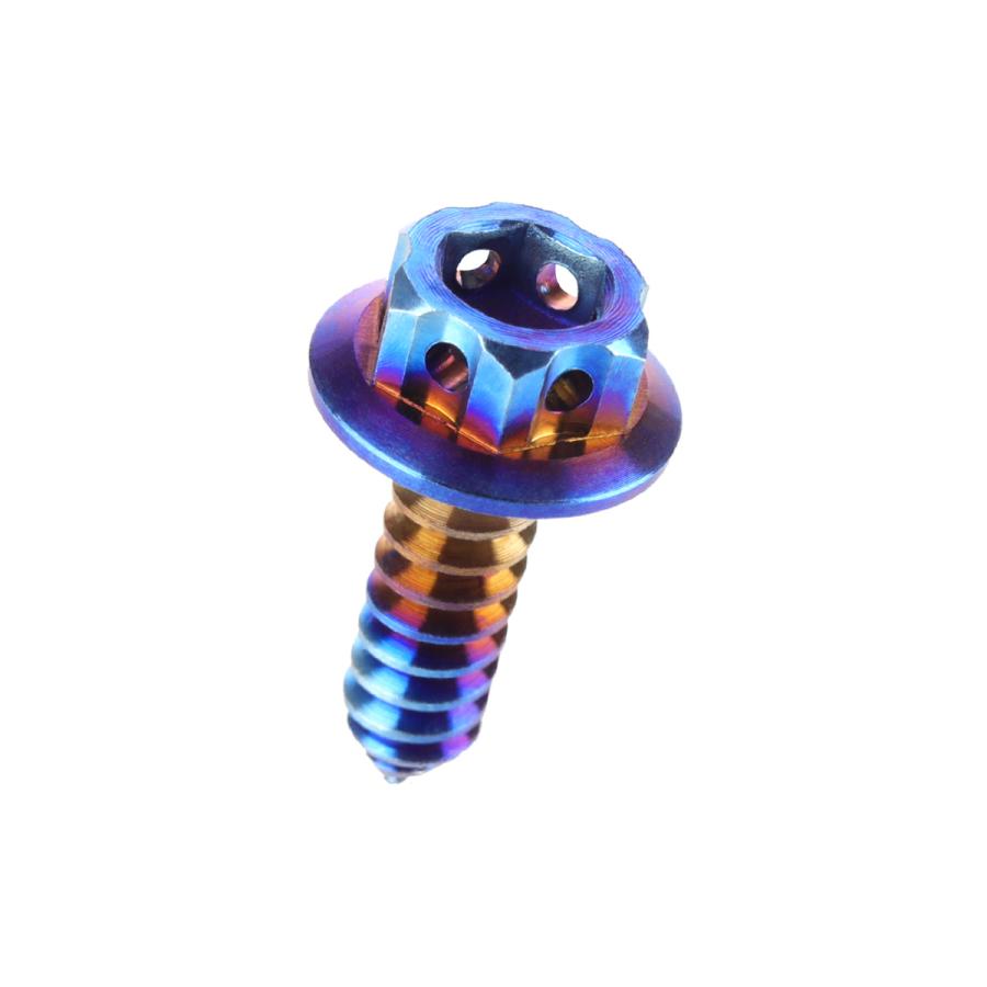 タッピングネジ M5×17mm チタン 六角ヘッド フランジ付 ビス 焼き