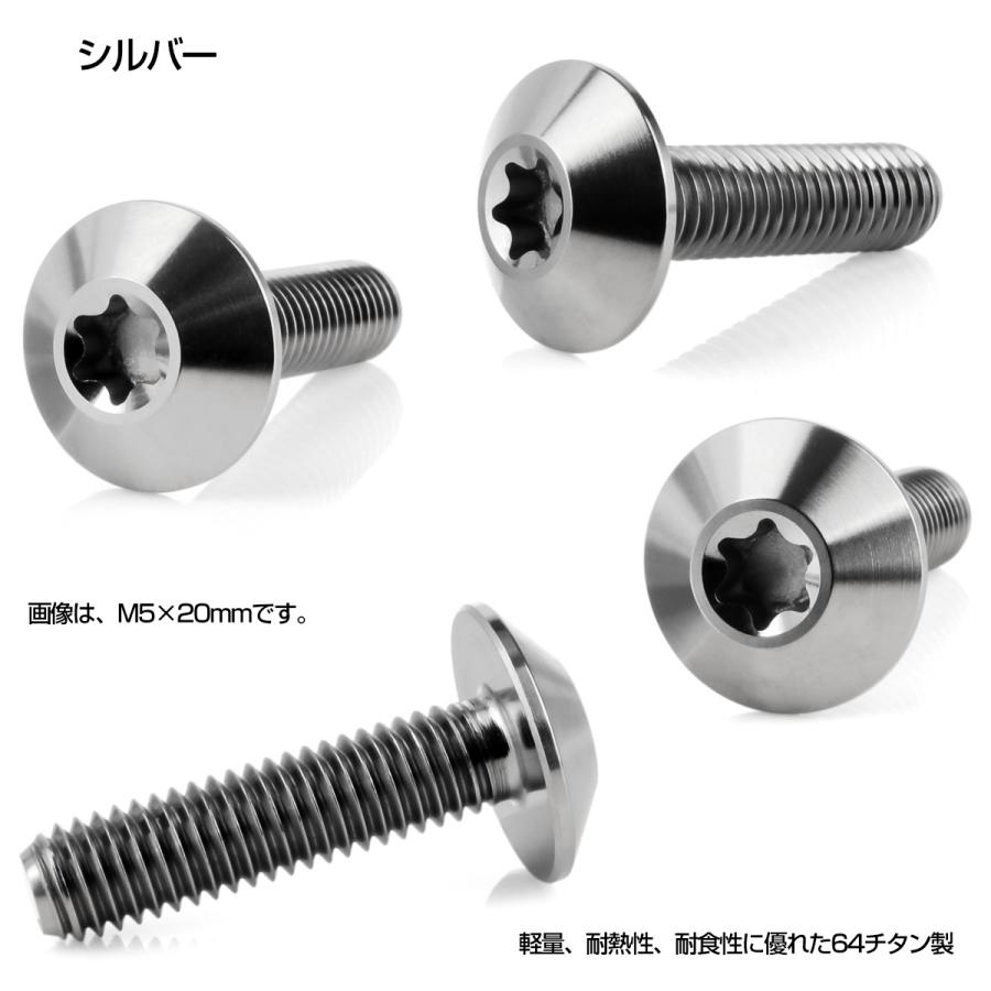 チタンボルト M6 15mm P1.0 ボタンボルト トルクス穴付き デザインボルト シルバー JA628｜eale｜03