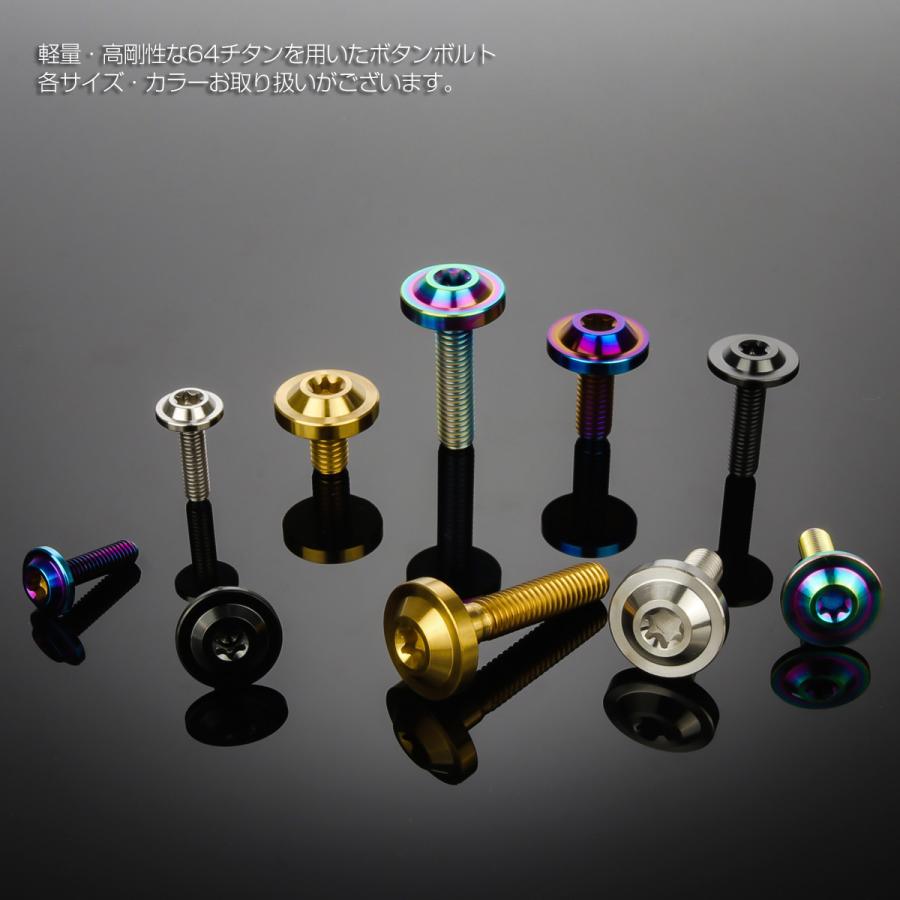 チタンボルト M6×16mm P1.0 ボタンボルト トルクスヘッド フランジ付 カスタムボルト シルバー チタン原色 JA655 | ブランド登録なし | 03