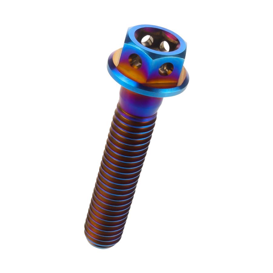 チタンボルト M6×30mm P1.0 六角ボルト 六角穴付き フランジ付き 焼きチタン風 デザイン JA732 | ブランド登録なし | 05
