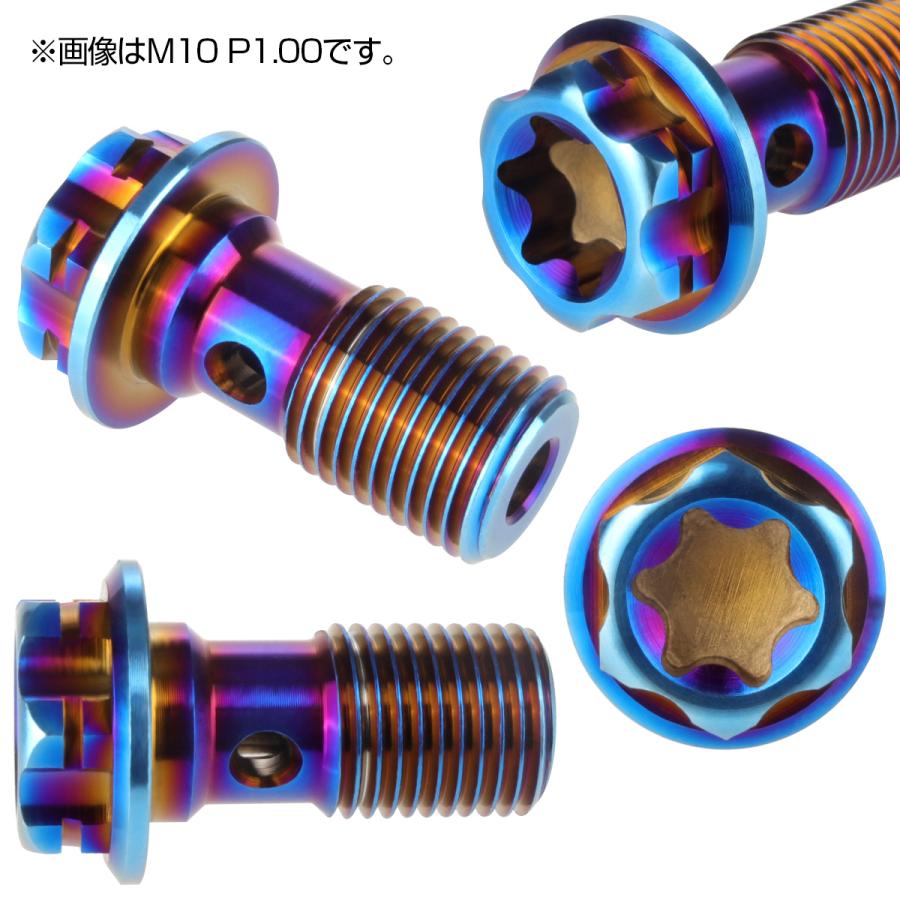 64チタン製 バンジョーボルト ブレーキライン M10 P1.00 トルクス穴 デザインボルト 焼きチタンカラー JA770 | ブランド登録なし | 02