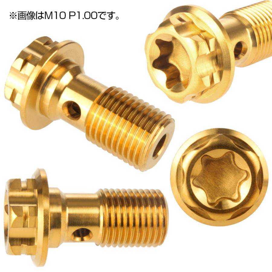 64チタン製 バンジョーボルト ブレーキライン M10 P1.00 トルクス穴 デザインボルト ゴールド JA771 | ブランド登録なし | 02