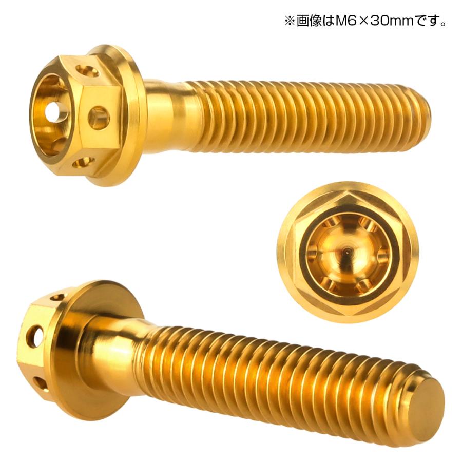 チタンボルト M6×10 P1.00 六角ボルト フランジ付 ゴールド ホール