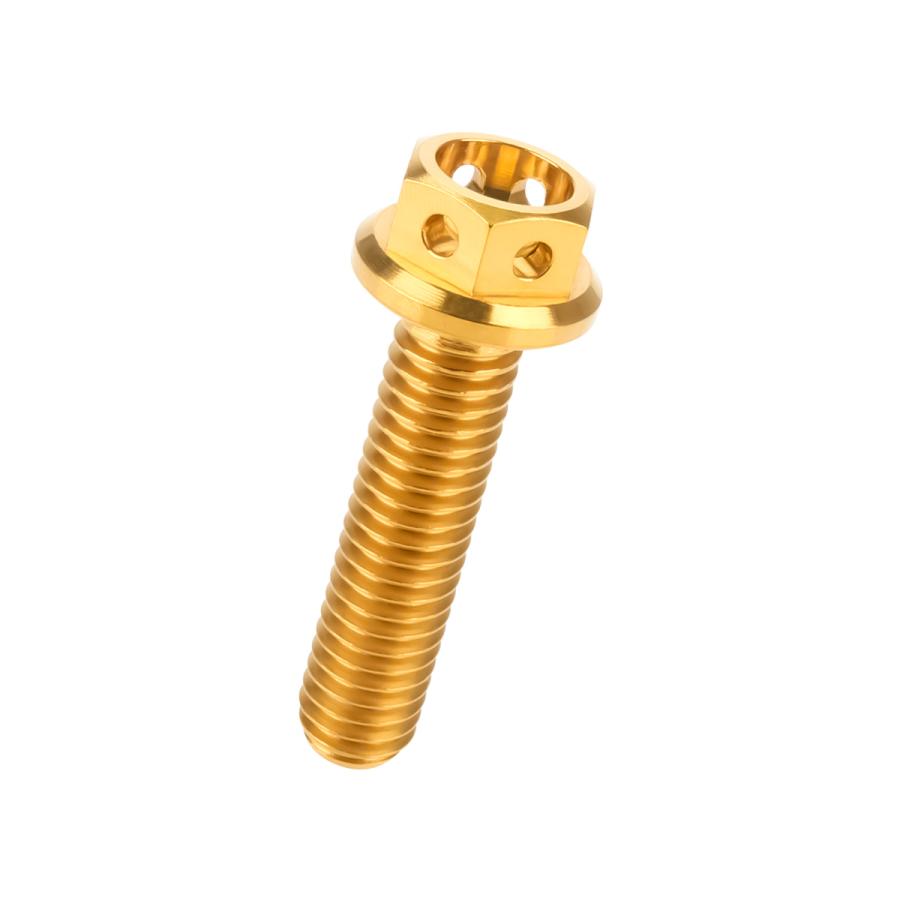 チタンボルト M6×25 P1.00 六角ボルト フランジ付 ゴールド ホール JA786 | ブランド登録なし | 04