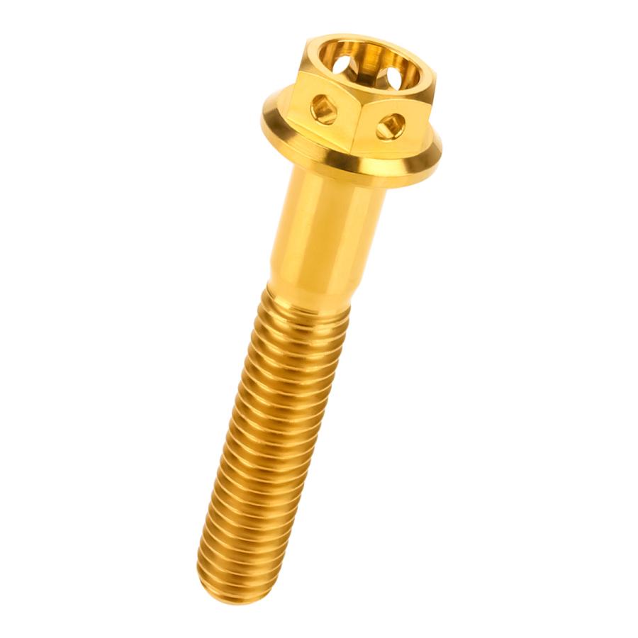 チタンボルト M6×35 P1.00 六角ボルト フランジ付 ゴールド ホール JA792 | ブランド登録なし | 04