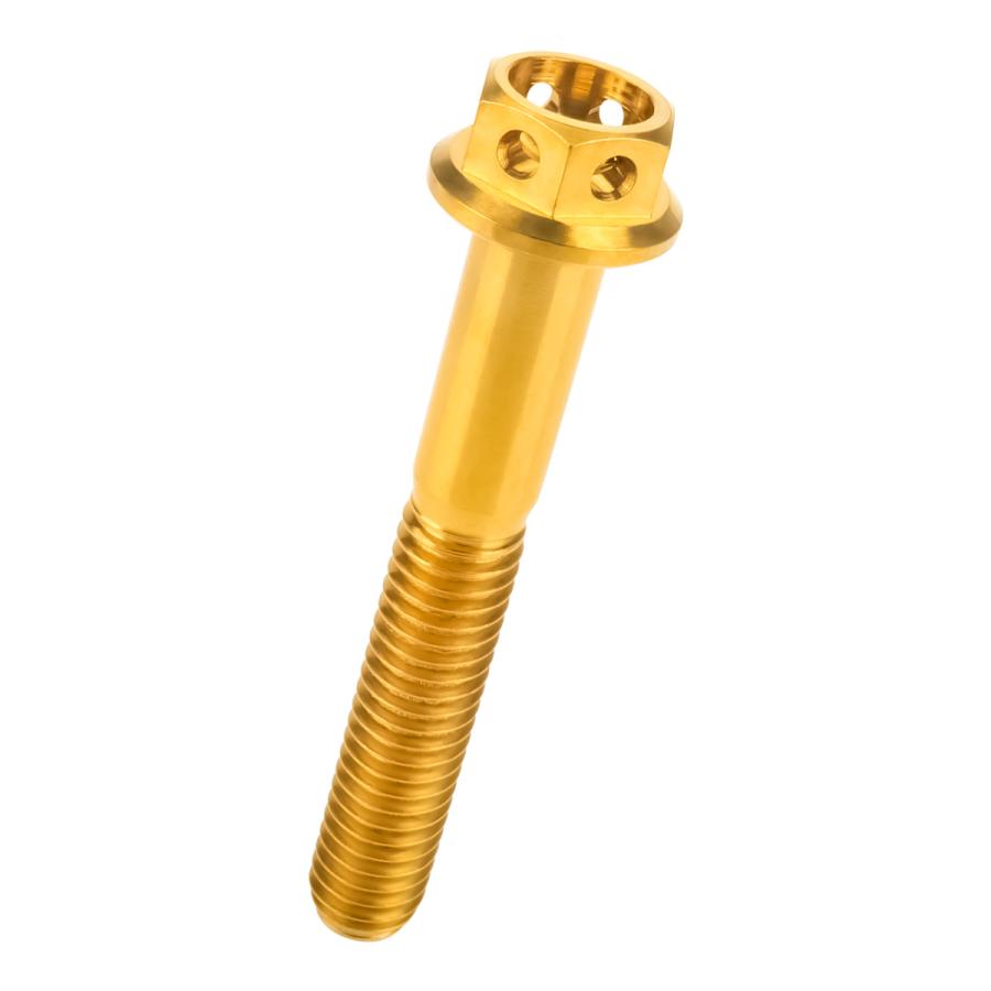 チタンボルト M6×40 P1.00 六角ボルト フランジ付 ゴールド ホール JA795 | ブランド登録なし | 04