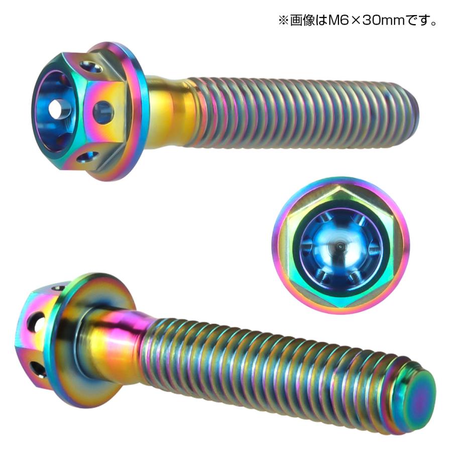 チタンボルト M6×45 P1.00 六角ボルト フランジ付 焼きチタンカラー レインボー ホール JA797 | ブランド登録なし | 01