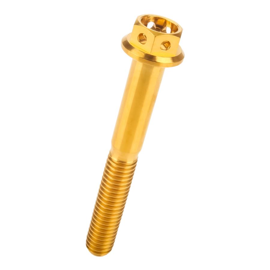 チタンボルト M6×45 P1.00 六角ボルト フランジ付 ゴールド ホール JA798 | ブランド登録なし | 04