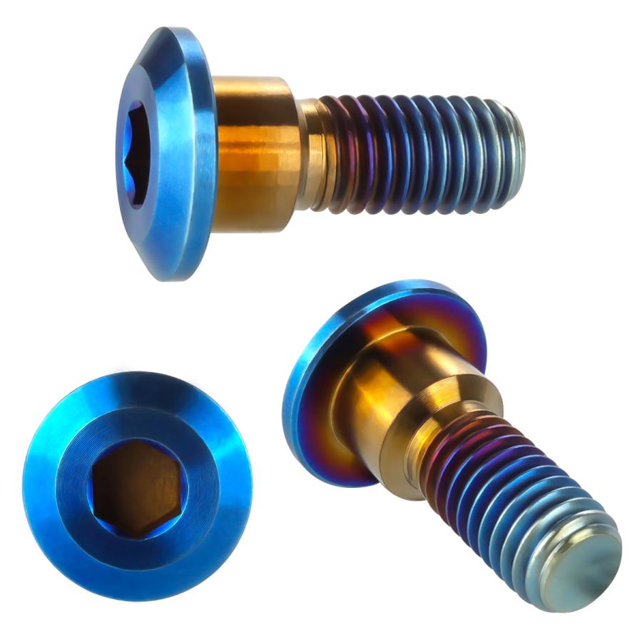 チタンボルト M8×22mm P1.25 ブレーキディスク ローターボルト スズキ車用 焼きチタン JA816 | ブランド登録なし | 02