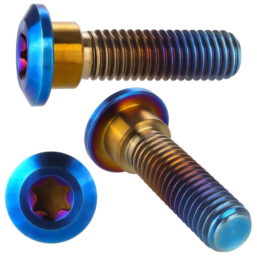 チタンボルト M8×30mm P=1.25 ブレーキディスク ローター ボルト カワサキ車用 焼きチタン JA818 | カワサキ | 02