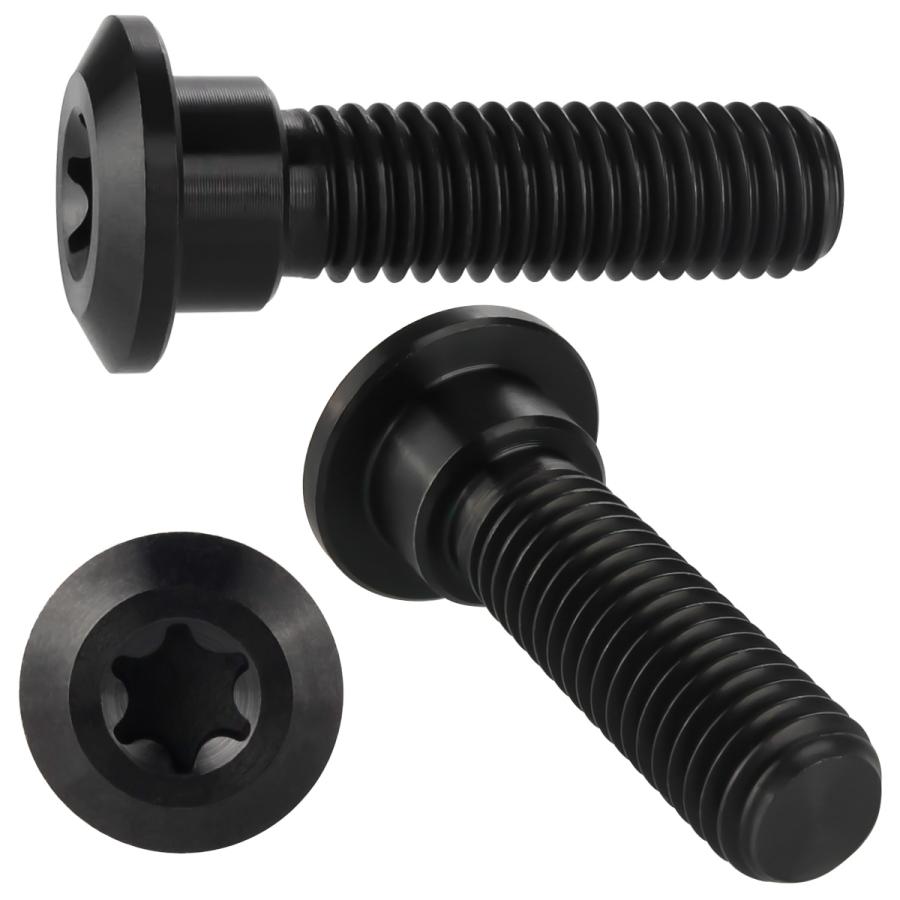 チタンボルト M8×30mm P1.25 ブレーキディスク ローターボルト カワサキ車用 ブラック JA819 | ブランド登録なし | 02
