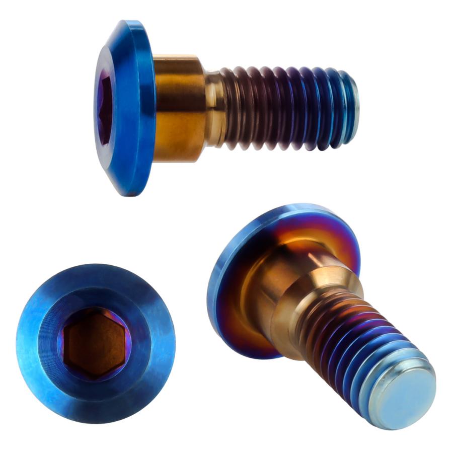 チタンボルト M8×20mm P1.25 ブレーキディスク ローターボルト ヤマハ車用 焼きチタン JA820 | ブランド登録なし | 02