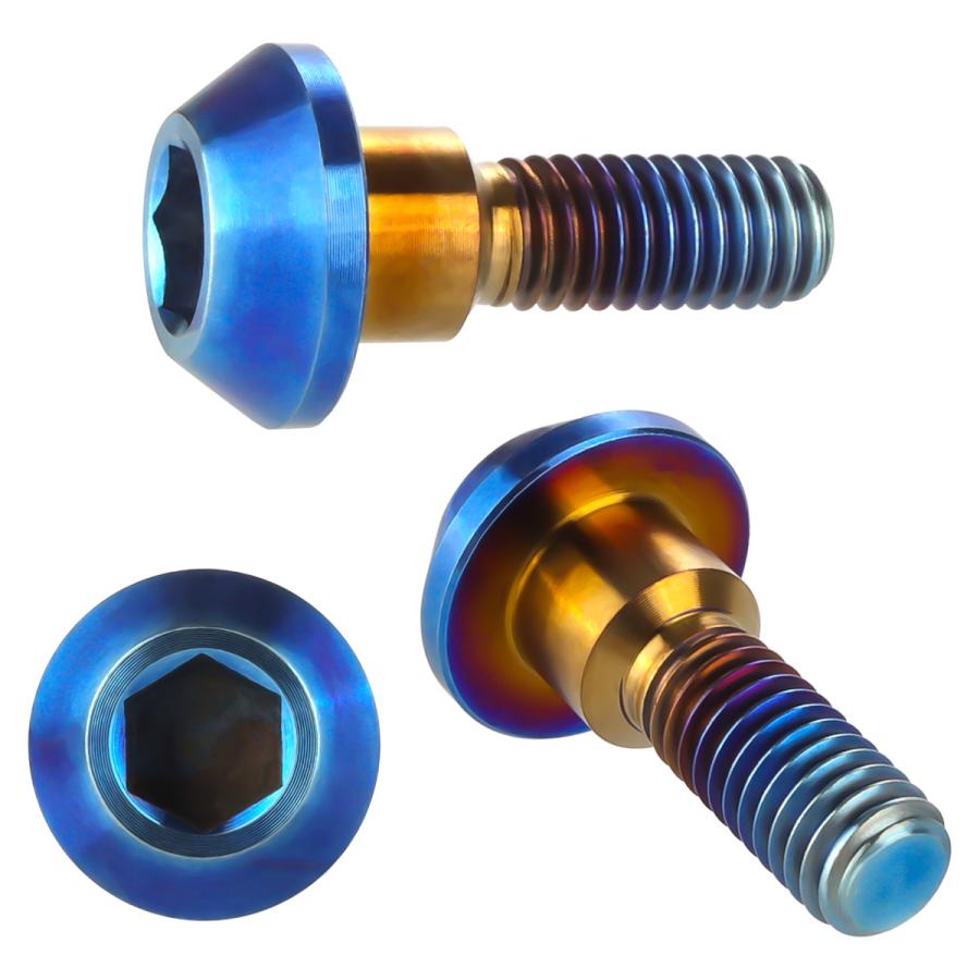 チタンボルト M6×20mm P1.00 ブレーキディスク ローターボルト ヤマハ車用 焼きチタン JA822 | ブランド登録なし | 02