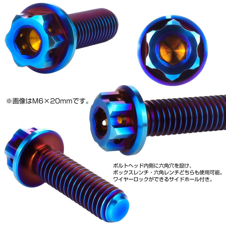 チタンボルト M6×15mm P1.0 六角ボルト 六角穴付き フランジ付き 焼きチタン デザイン JA864 | ブランド登録なし | 01