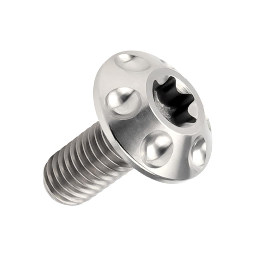 チタンボルト M6×15mm P1.0 ボタンボルト T型 トルクス穴 シルバー ホール JA867 | ブランド登録なし | 04