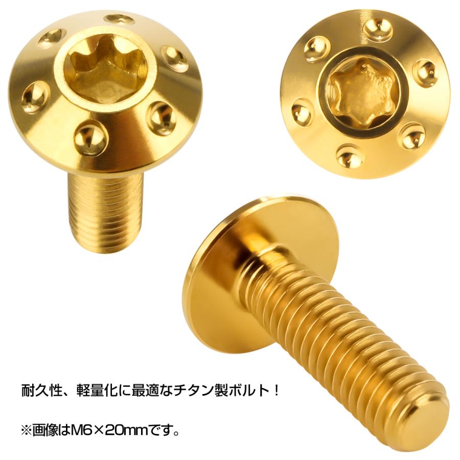 チタンボルト M6×15mm P1.0 ボタンボルト T型 トルクス穴 ゴールド ホール JA868 | ブランド登録なし | 01