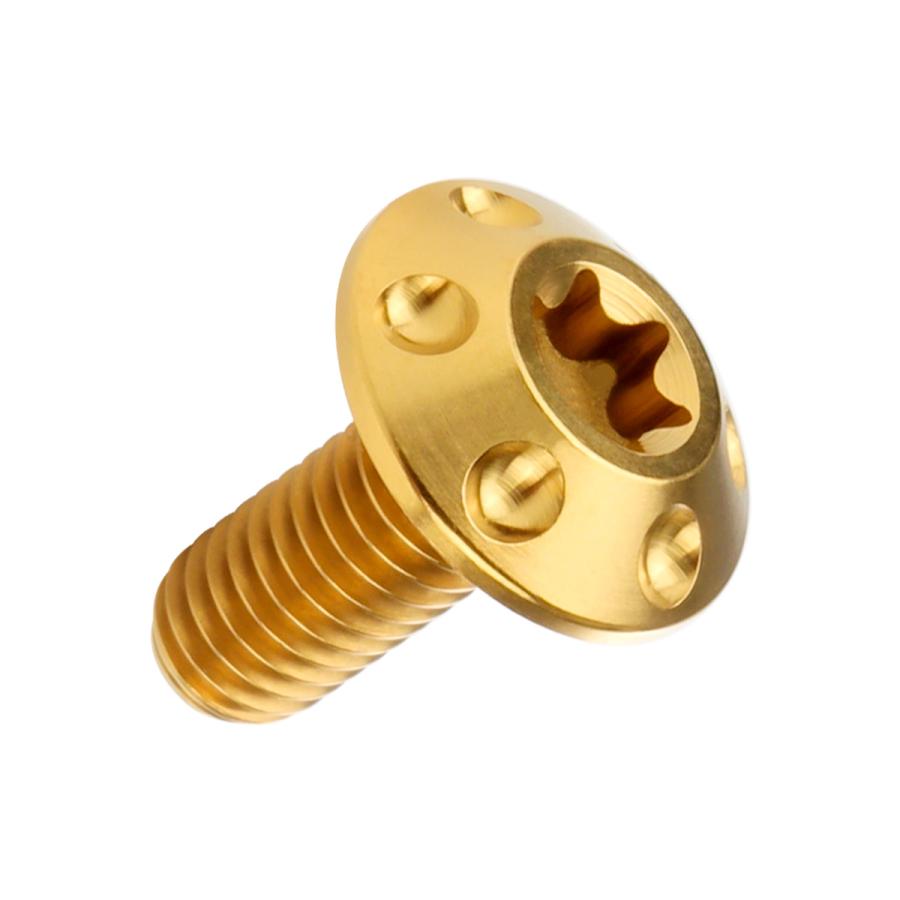 チタンボルト M6×15mm P1.0 ボタンボルト T型 トルクス穴 ゴールド ホール JA868 | ブランド登録なし | 04