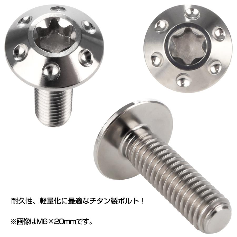 チタンボルト M6×20mm P1.0 ボタンボルト T型 トルクス穴 シルバー ホール JA869 | ブランド登録なし | 01