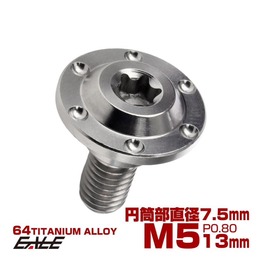 触媒 円筒形 フランジ付き チタン 段付きボルト M5×13mm P0.8 円筒部直径7.5mm ホールヘッド
