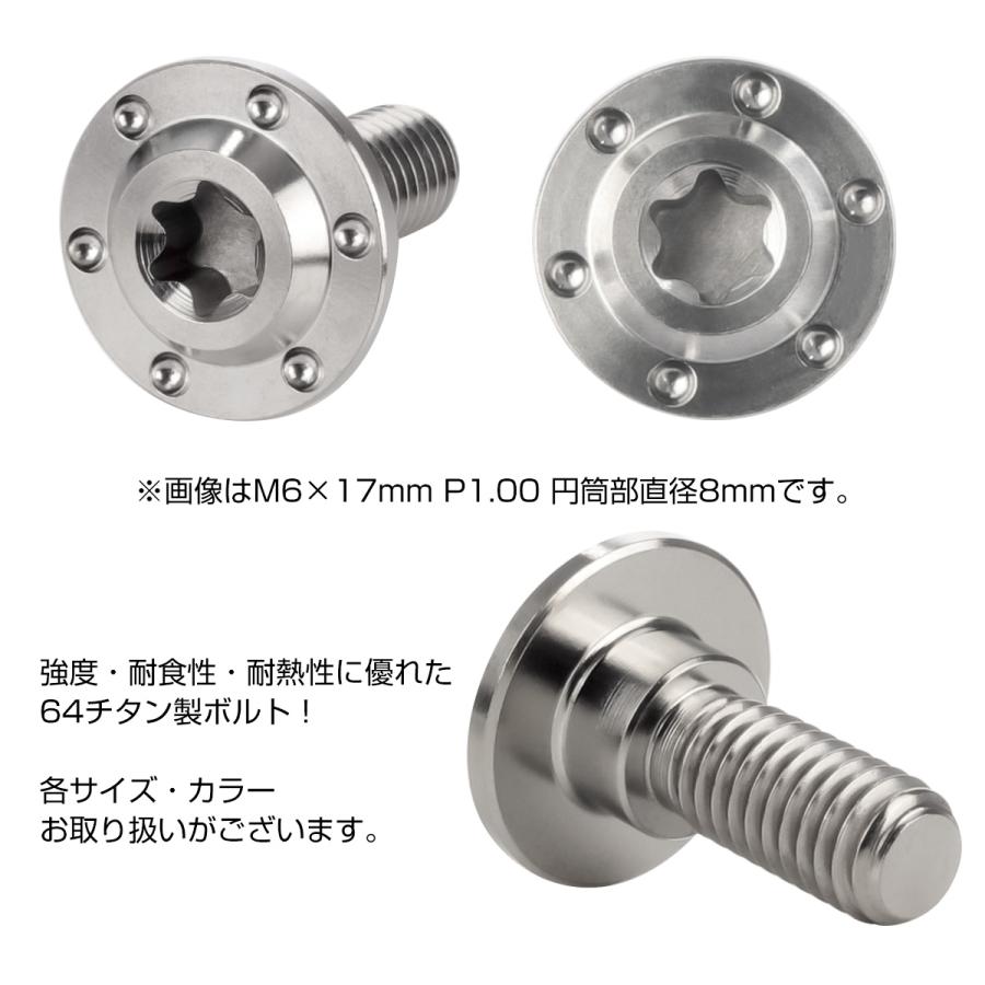 チタンボルト M6×17mm P1.0フランジボルト 段付き 円筒部直径9mm トルクス穴 シルバー JA882 | ブランド登録なし | 01
