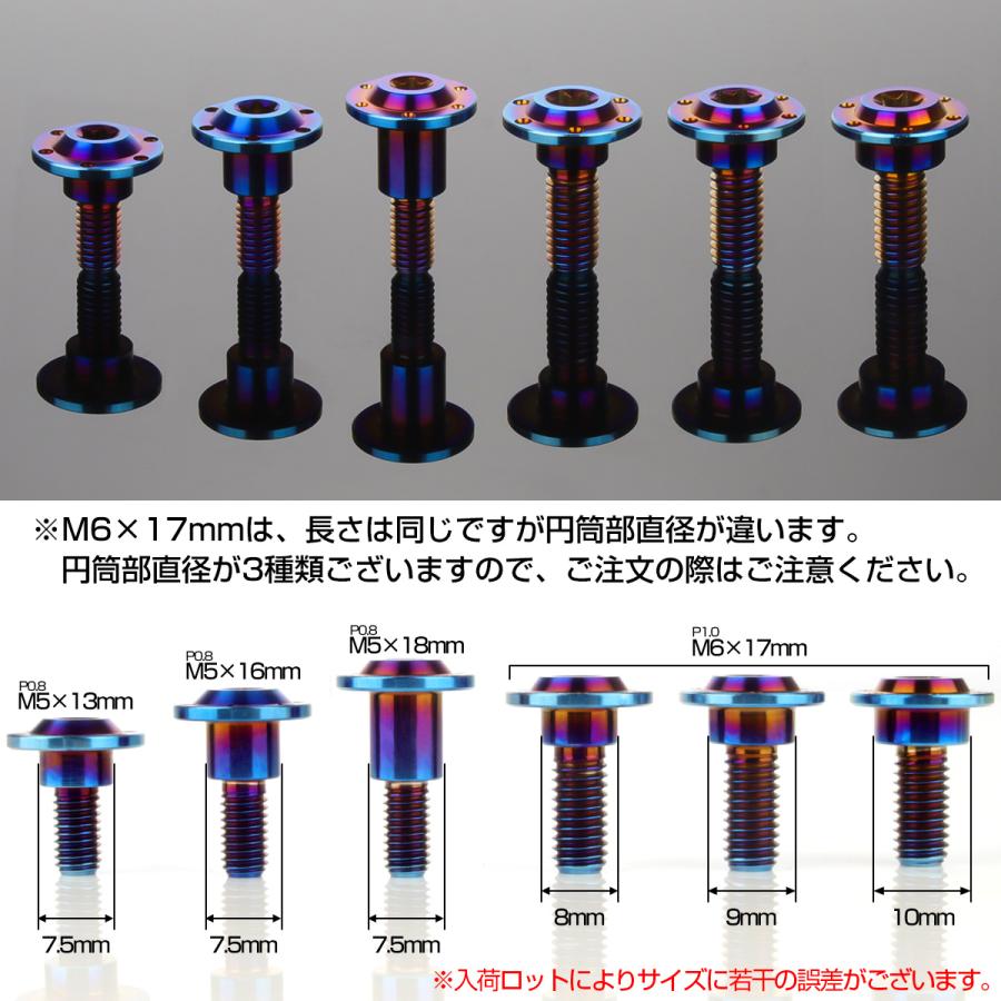 チタンボルト M6×17mm P1.0フランジボルト 段付き 円筒部直径9mm トルクス穴 焼きチタン JA883 | ブランド登録なし | 03
