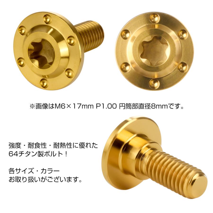 チタンボルト M6×17mm P1.0フランジボルト 段付き 円筒部直径10mm