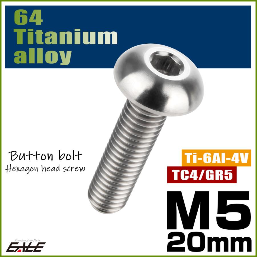 チタンボルト M5×20mm P0.8 ボタンボルト 六角穴 シルバー原色 JA897 | ブランド登録なし | 01