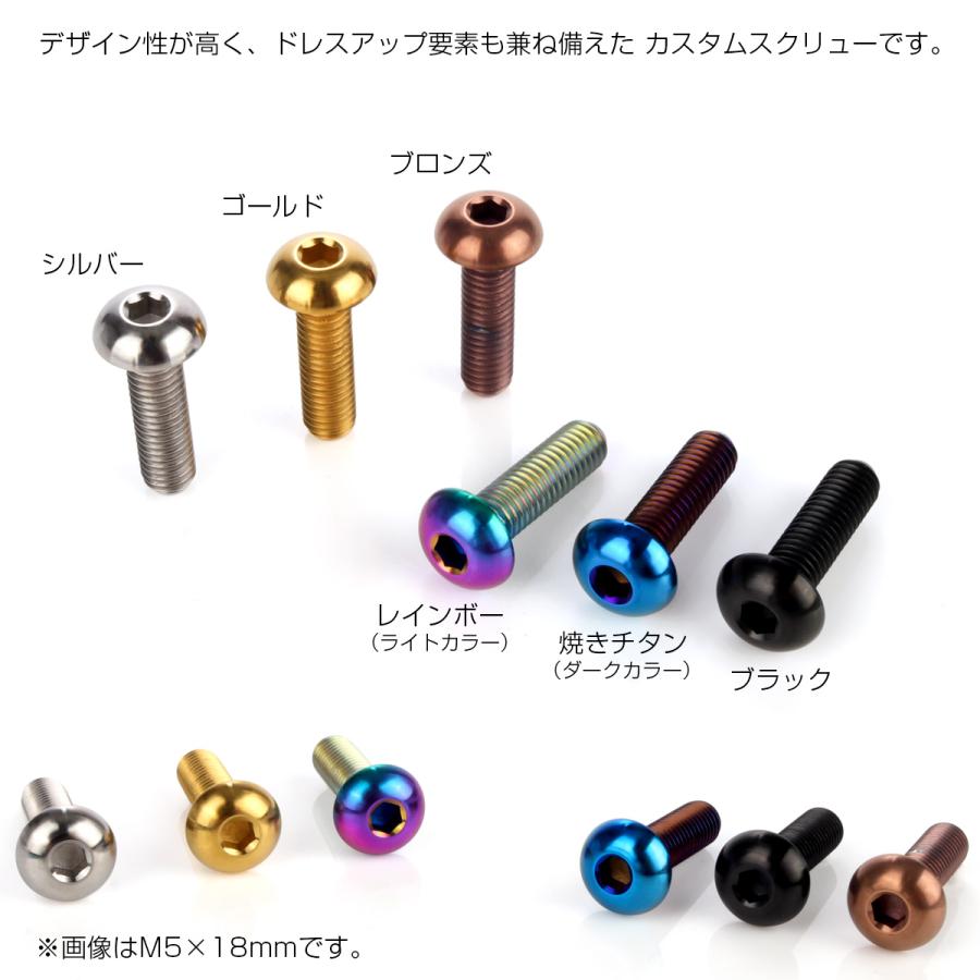チタンボルト M5×30mm P0.8 ボタンボルト 六角穴 シルバー原色 JA903 | ブランド登録なし | 03