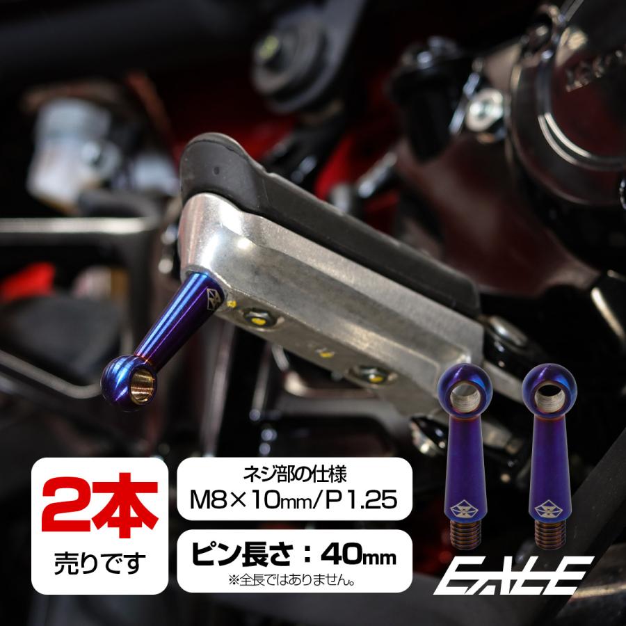 40mm バンクセンサー ネジ M8×10mm P1.25 補修 交換用 ドレス