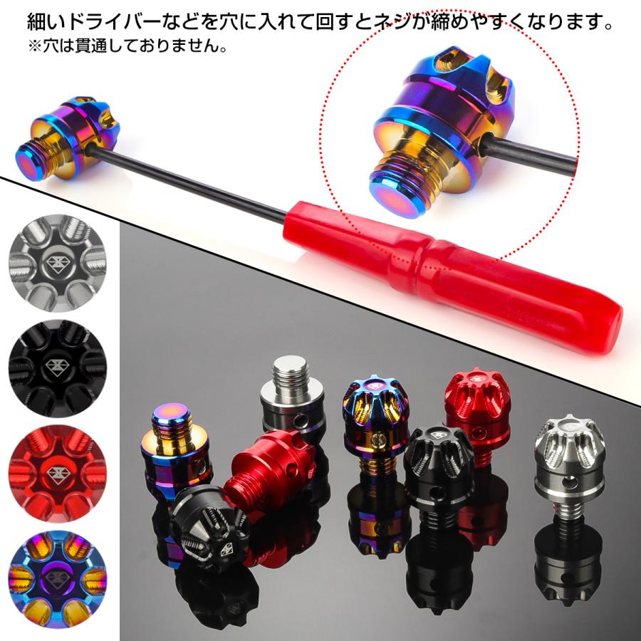 M8 M10 P1.25 正ネジ 逆ネジ ミラーホール デザインボルト M8 M10 P1.25 正ネジ 逆ネジ ミラーホール デザインボルト