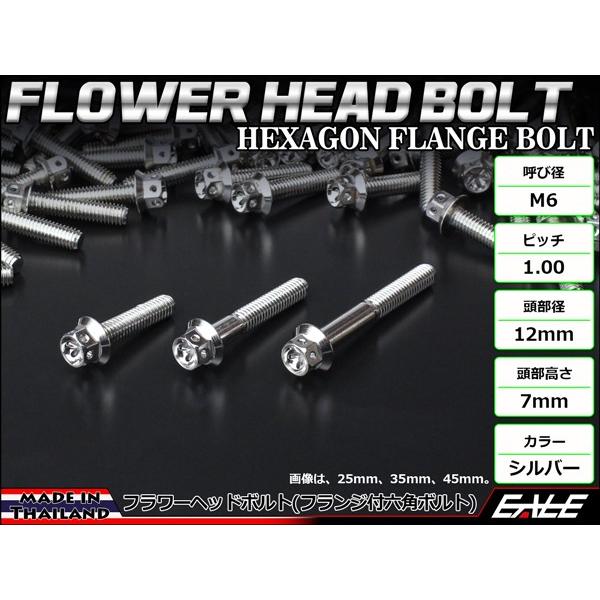 M6×10mm フラワーヘッドボルト ステンレス製フランジ付き六角ボルト クランクケースなどのエンジン周りに シルバー TB0424 | ブランド登録なし | 01