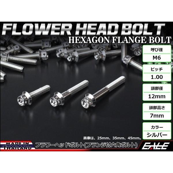 M6×100mm フラワーヘッドボルト ステンレス製フランジ付き六角ボルト クランクケースなどのエンジン周りに シルバー TB0443 | ブランド登録なし | 01