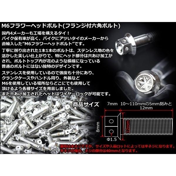 M6×110mm フラワーヘッドボルト ステンレス製フランジ付き六角ボルト クランクケースなどのエンジン周りに シルバー TB0445 | ブランド登録なし | 02