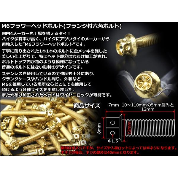 M6×25mm フラワーヘッドボルト ステンレス製フランジ付き六角ボルト クランクケースなどのエンジン周りに ゴールド TB0487 | ブランド登録なし | 02