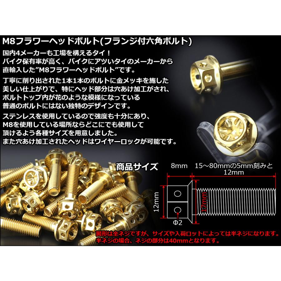 M8×30mm フラワーヘッドボルト ステンレス製フランジ付き六角ボルト フレームやハンドルポストなどに ゴールド TB0509 | ブランド登録なし | 02