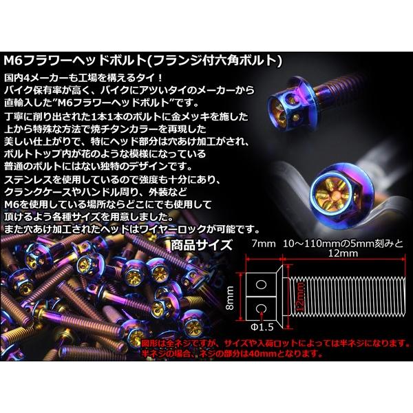 M6×20mm フラワーヘッドボルト ステンレス製フランジ付き六角ボルト クランクケースなどのエンジン周りに 焼チタンカラー TB0545 | ブランド登録なし | 02