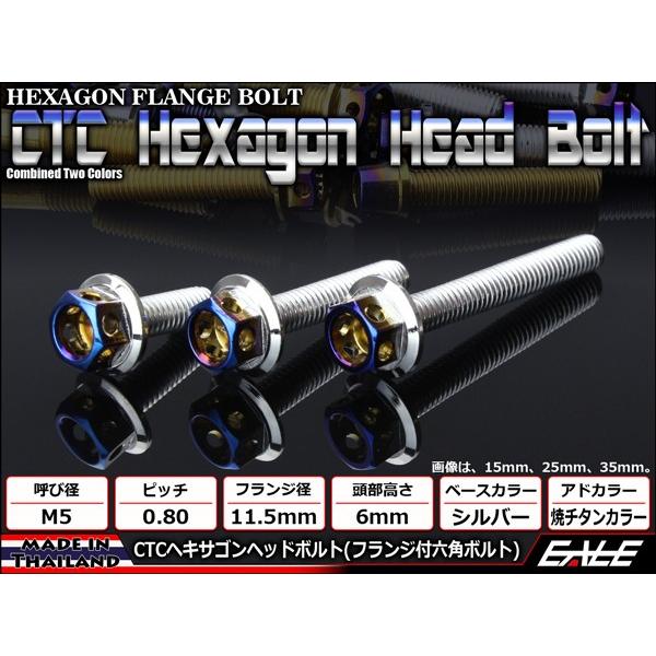 M5×20mm P0.8 フランジ ヘキサゴンヘッドボルト 六角ボルト ステンレス CTC シルバー＆焼チタンカラー TB0656 | ブランド登録なし | 01