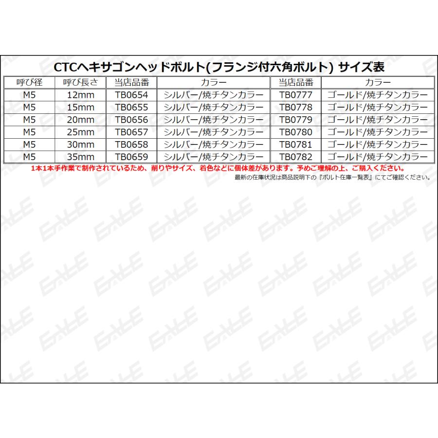 M5×35mm P0.8 フランジ ヘキサゴンヘッドボルト 六角ボルト ステンレス CTC シルバー＆焼チタンカラー TB0659 | ブランド登録なし | 03