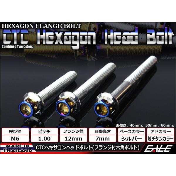 M6×105mm P1.0 フランジ ヘキサゴンヘッドボルト 六角ボルト ステンレス CTC シルバー＆焼チタンカラー TB0680 | ブランド登録なし | 01