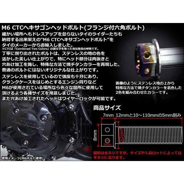 M6×105mm P1.0 フランジ ヘキサゴンヘッドボルト 六角ボルト ステンレス CTC シルバー＆焼チタンカラー TB0680 | ブランド登録なし | 02