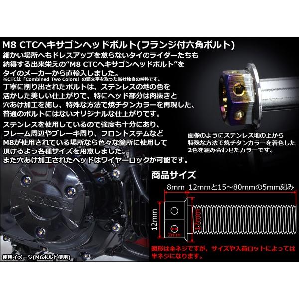 M8×15mm P1.25 フランジ ヘキサゴンヘッドボルト 六角ボルト ステンレス CTC シルバー＆焼チタンカラー TB0683 | ブランド登録なし | 02