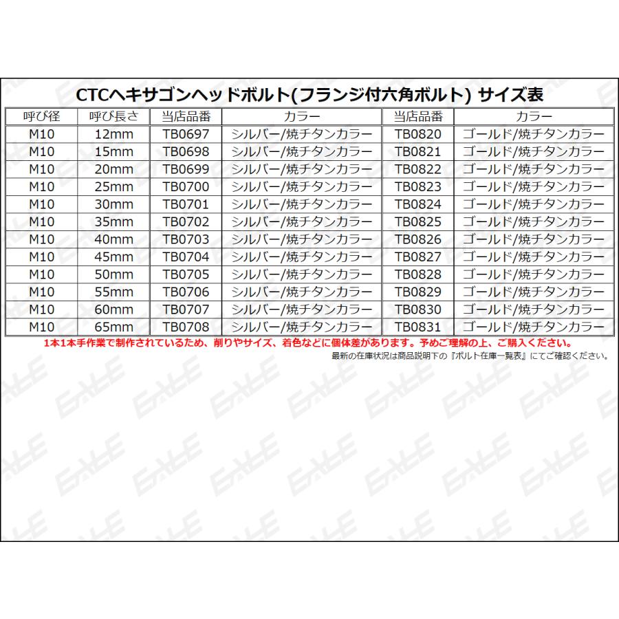 M10×12mm P1.25 フランジ ヘキサゴンヘッドボルト 六角ボルト ステンレス CTC シルバー＆焼チタンカラー TB0697 | ブランド登録なし | 03