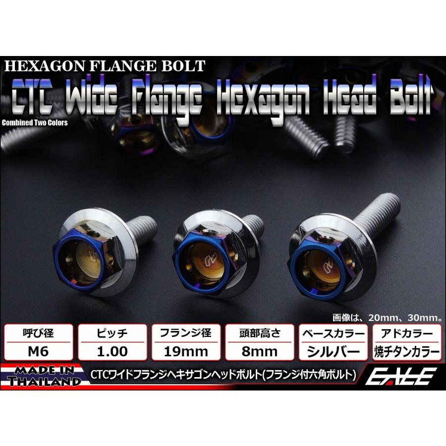 M6×10mm P1.0 ワイドフランジ ヘキサゴンヘッド ボルト 六角ボルト ステンレス CTC シルバー＆焼チタンカラー TB0709 | ブランド登録なし | 01