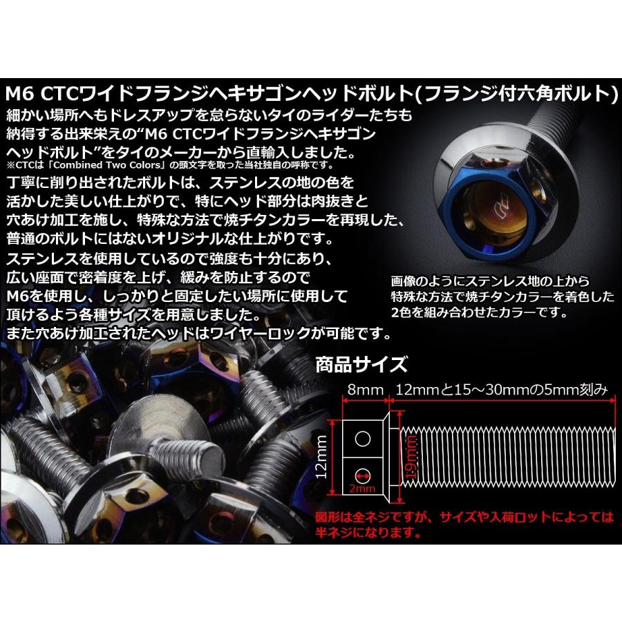 M6×10mm P1.0 ワイドフランジ ヘキサゴンヘッド ボルト 六角ボルト ステンレス CTC シルバー＆焼チタンカラー TB0709 | ブランド登録なし | 02