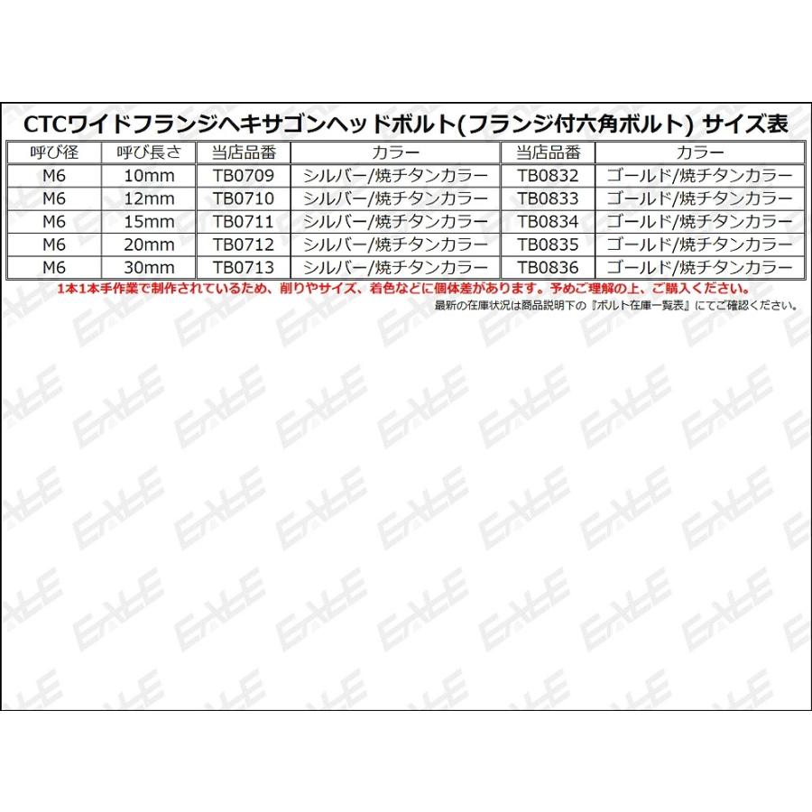 M6×30mm P1.0 ワイドフランジ ヘキサゴンヘッド ボルト 六角ボルト ステンレス CTC シルバー＆焼チタンカラー TB0713 | ブランド登録なし | 03