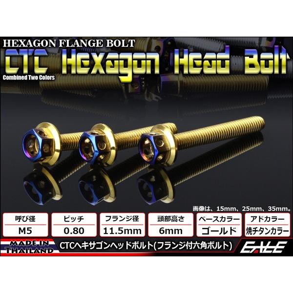 M5×20mm P0.8 フランジ ヘキサゴンヘッドボルト 六角ボルト ステンレス CTC ゴールド＆焼チタンカラー TB0779 | ブランド登録なし | 01
